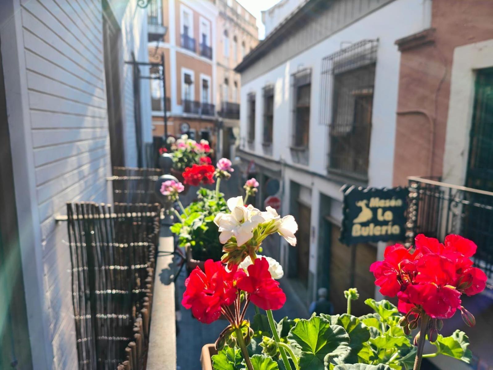 Balcon Del Templo Romano 科爾多瓦 外观 照片